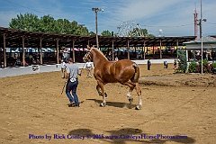 2015-08-08-07-05