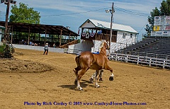 2015-08-08-07-12