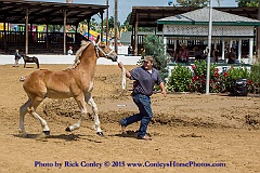 2015-08-08-09-03