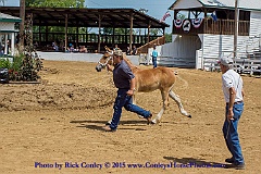 2015-08-08-09-05