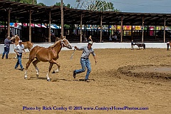 2015-08-08-09-07