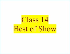 2015-08-08-14-00