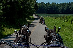 2015-08-15-146