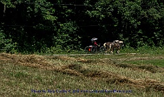 2015-08-15-163