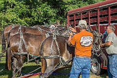 2015-08-16-17