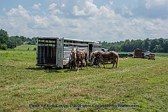 2015-08-16-96