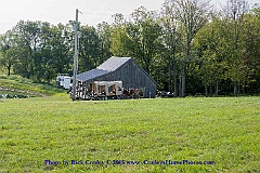 2015-08-29-006