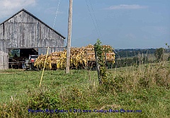 2015-08-29-025