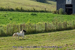 2015-08-29-028