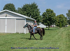 2015-08-29-059