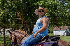 2015-08-29-071