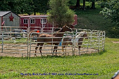 2015-08-29-074