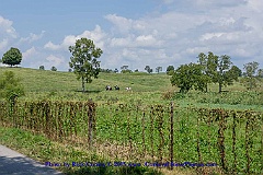2015-08-29-094