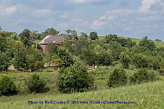 2015-08-29-115
