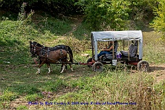 2015-08-29-117