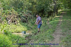 2015-08-29-119