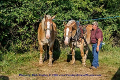 2015-09-04-003