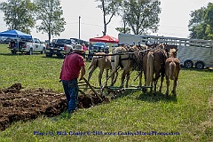 2015-09-04-043
