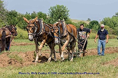 2015-09-04-049