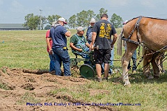 2015-09-04-077