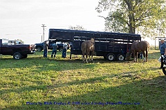 2015-09-05-003