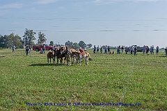 2015-09-05-019
