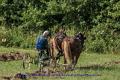 2015-09-05-039