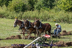 2015-09-05-065
