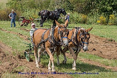 2015-09-05-101