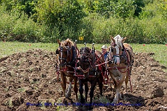 2015-09-05-167
