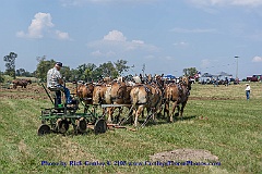 2015-09-05-174