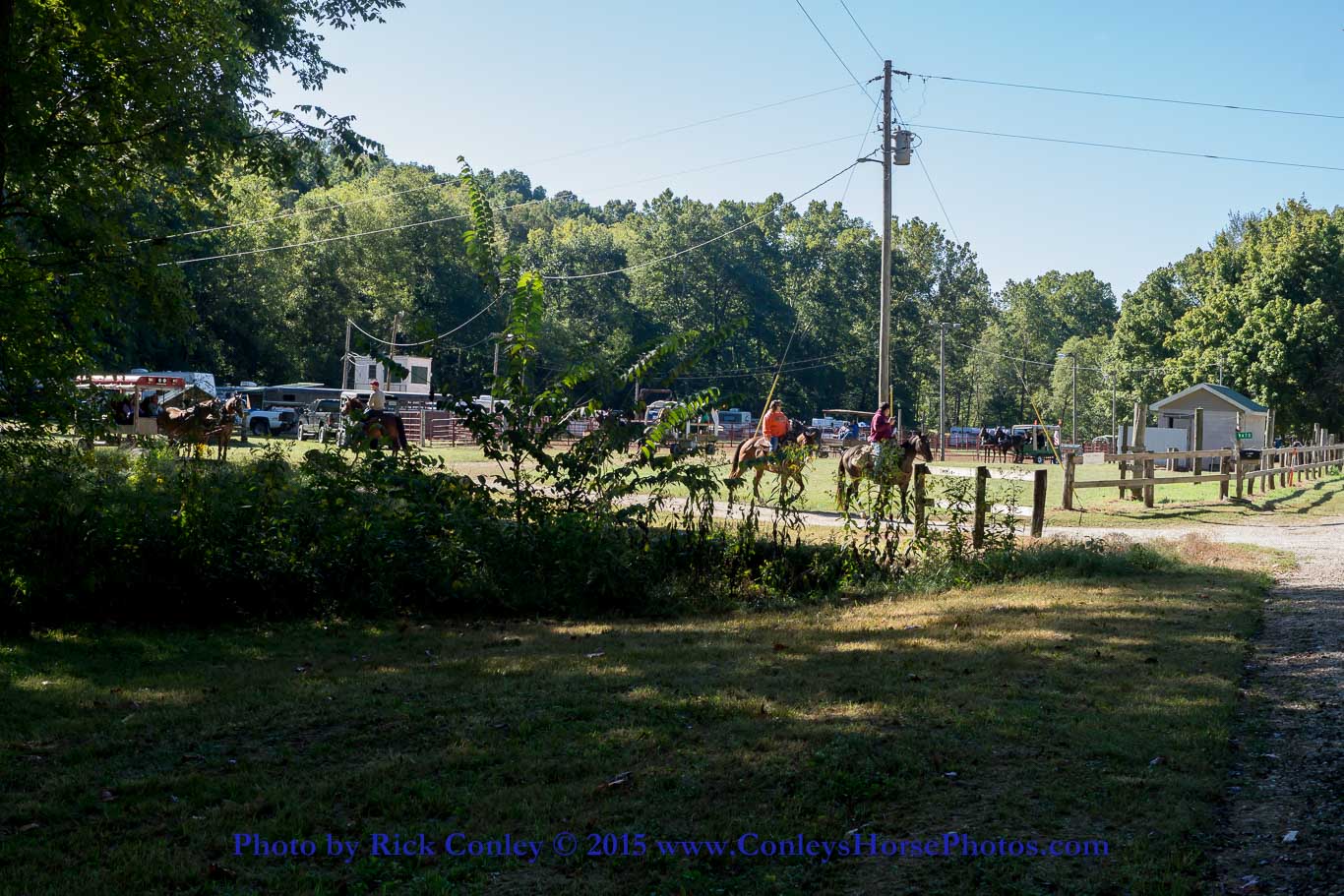 2015-09-13-011.jpg