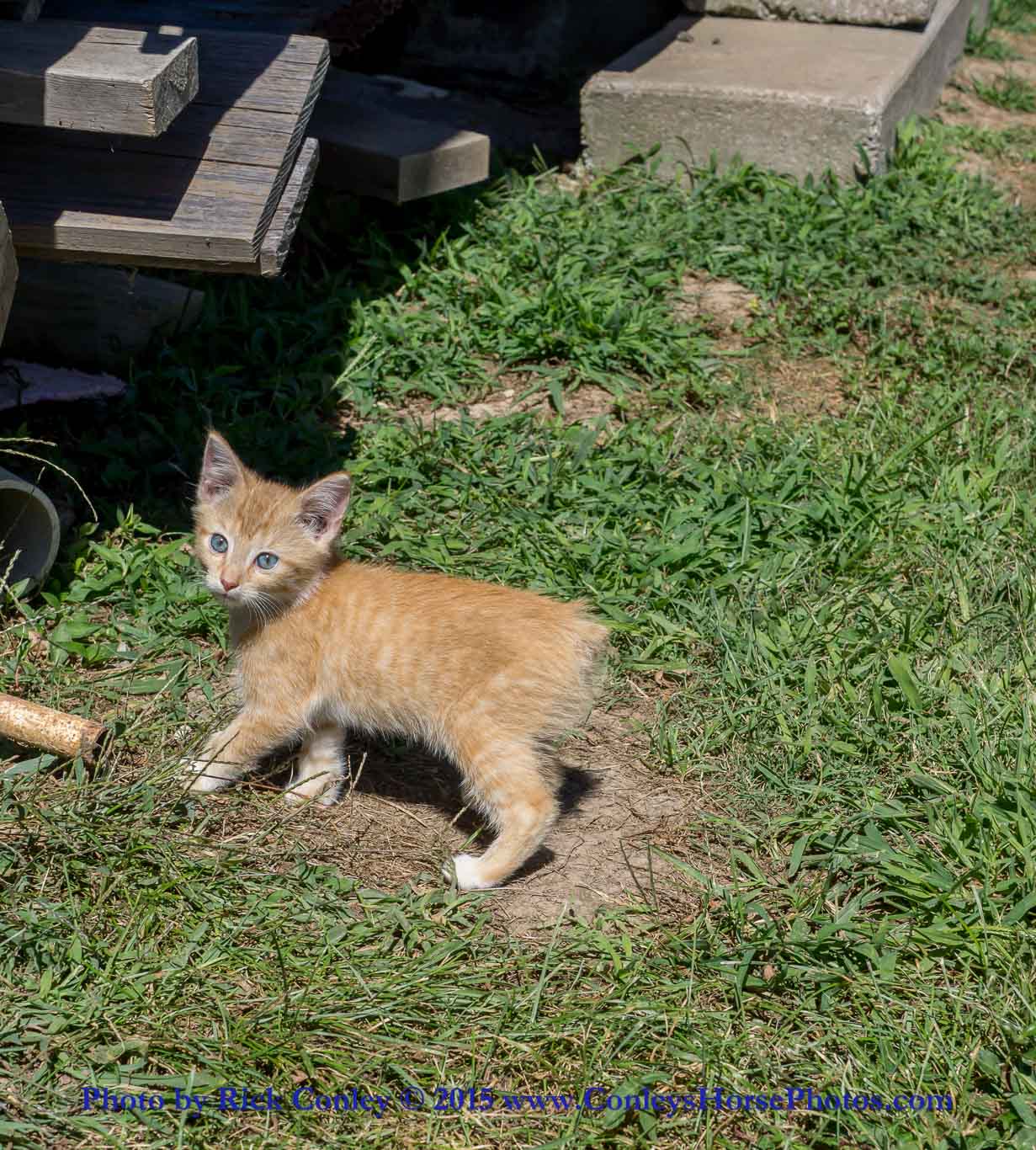 2015-09-14-059.jpg