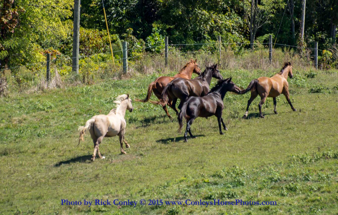 2015-09-14-070.jpg