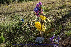 2015-09-14-031
