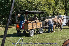 2015-09-14-083
