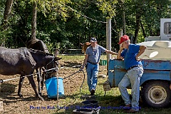 2015-09-14-084