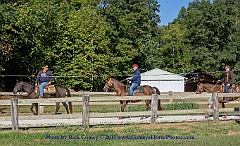 2015-09-15-022