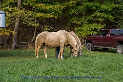 2015-09-19-006