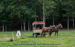 2015-09-19-007