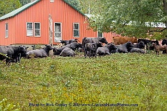 2015-09-19-063
