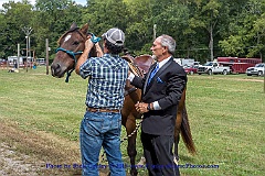 2015-09-12-014