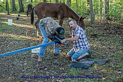 2015-10-05-085