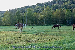 2015-10-04-002
