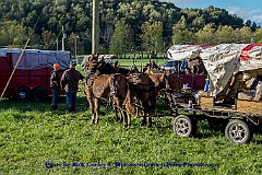2015-10-04-007
