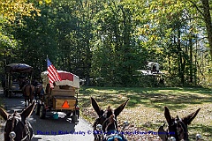 2015-10-04-039