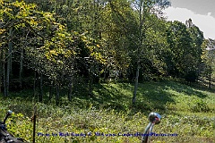 2015-10-04-050