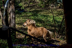 2015-10-04-058