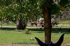 2015-10-04-064