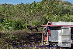 2015-10-04-071